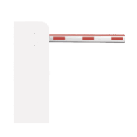 Brazo Recto  de 3 Metros / Compatible con DS-TMG520-H/A/B(3M) Modelo:307500183