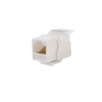 M?dulo Jack Keystone Cat5e sin herramienta (toolless) para faceplate - Color Blanco
