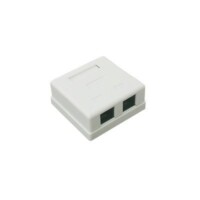 Caja de pared con Jack UTP Cat5e y Jack RJ11 telef?nico