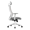 SILLA ERGONOMICA ACTECK FLOE PRO EC373 / PLASTICO CON MALLA / MARIPOSA CLASE 4 / MAX 120 KG / PISTON CLASE 3 / REPOSABRAZOS FIJO / BLANCO / AC-937245