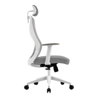 SILLA ERGONOMICA ACTECK FLOE PRO EC373 / PLASTICO CON MALLA / MARIPOSA CLASE 4 / MAX 120 KG / PISTON CLASE 3 / REPOSABRAZOS FIJO / BLANCO / AC-937245