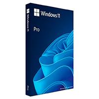 KIT DE LEGALIZACION GGK WINDOWS 11 PROFESIONAL 64 BITS ESPAÑOL LAT 1PK DSP DVD