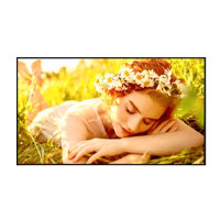 MONITOR DE SEÑALIZACION DIGITAL LG DE 55 PLG USO 24/7 BRILLO 500 NITS, 8MS 60HZ HDMI 3 HDCP 2.1/1.4 RS232 RJ45 USB A 2.0 SALIDA DE AUDIO SALIDA RS232, WEBOS 6.1