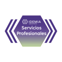 REMOTE ASSISTANCE JUNIOR 4 HORAS