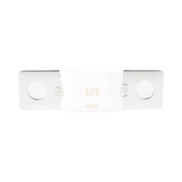 Mega Fuse 125A / 80V