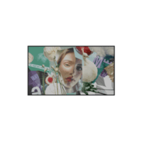 Pantalla LED de 75" para Publicidad Digital 4K / Programación de Horarios / Contenido Personalizado / Sistema Operativo Android