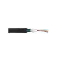 Cable de Fibra Óptica de 24 hilos, Monomodo OS2 , Interior/Exterior, Armada, Loose Tube 250um, OFCP (Plenum), Precio Por Metro