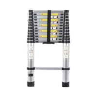 Escalera Telescópica de Aluminio de 3.8 Metros de Altura