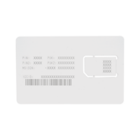 RENOVACION POR UN AÑO DE SERVICIO PARA SIM25MB